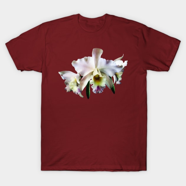 White Cattleya Orchids T-Shirt by SusanSavad